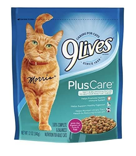 9 Lives Plus Care Dry Cat 12 oz